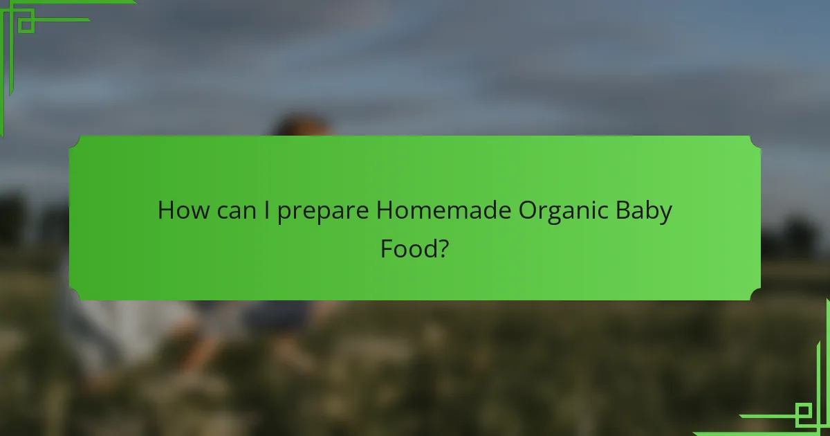How can I prepare Homemade Organic Baby Food?