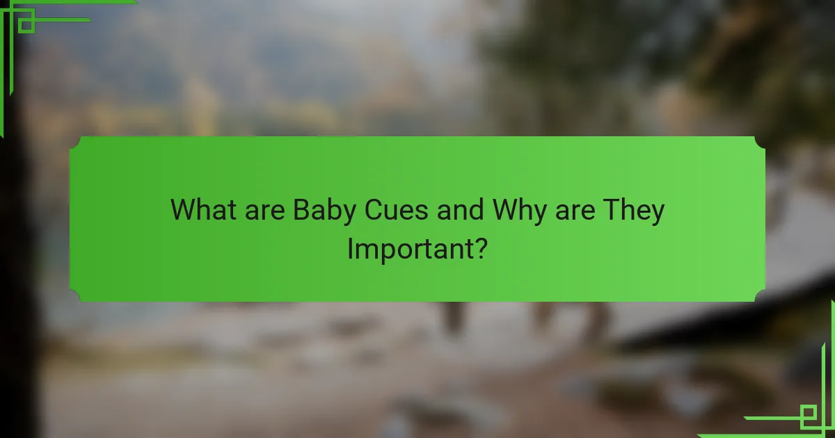 What are Baby Cues and Why are They Important?