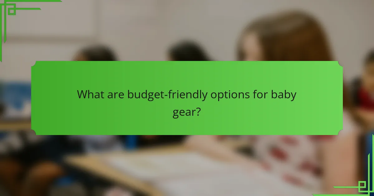 What are budget-friendly options for baby gear?