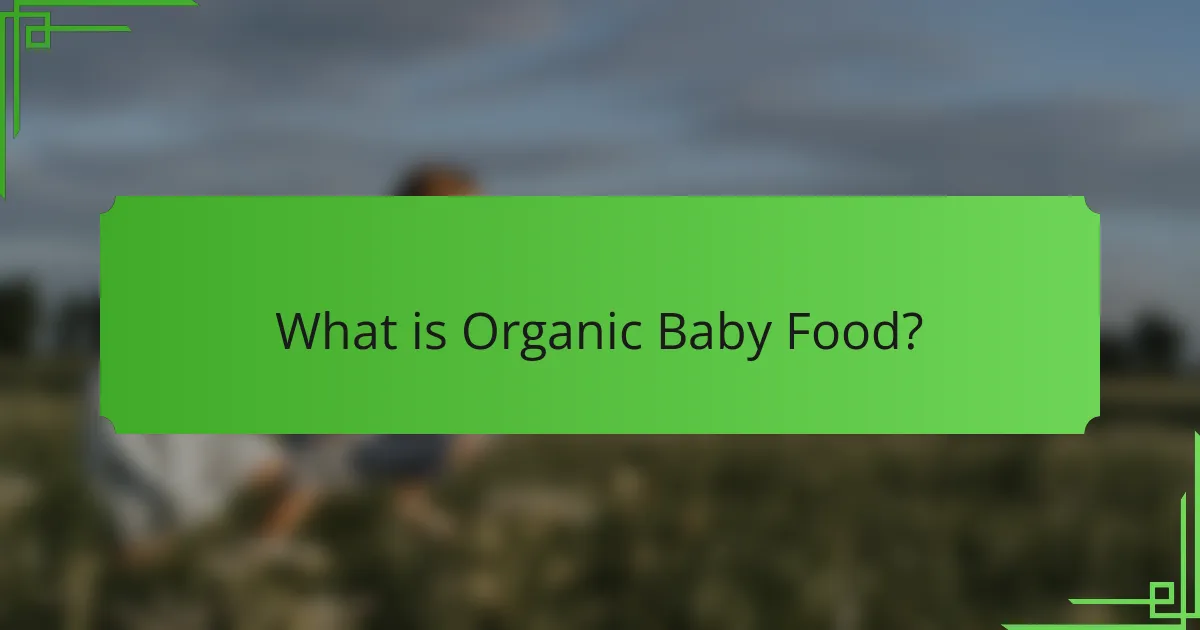 What is Organic Baby Food?